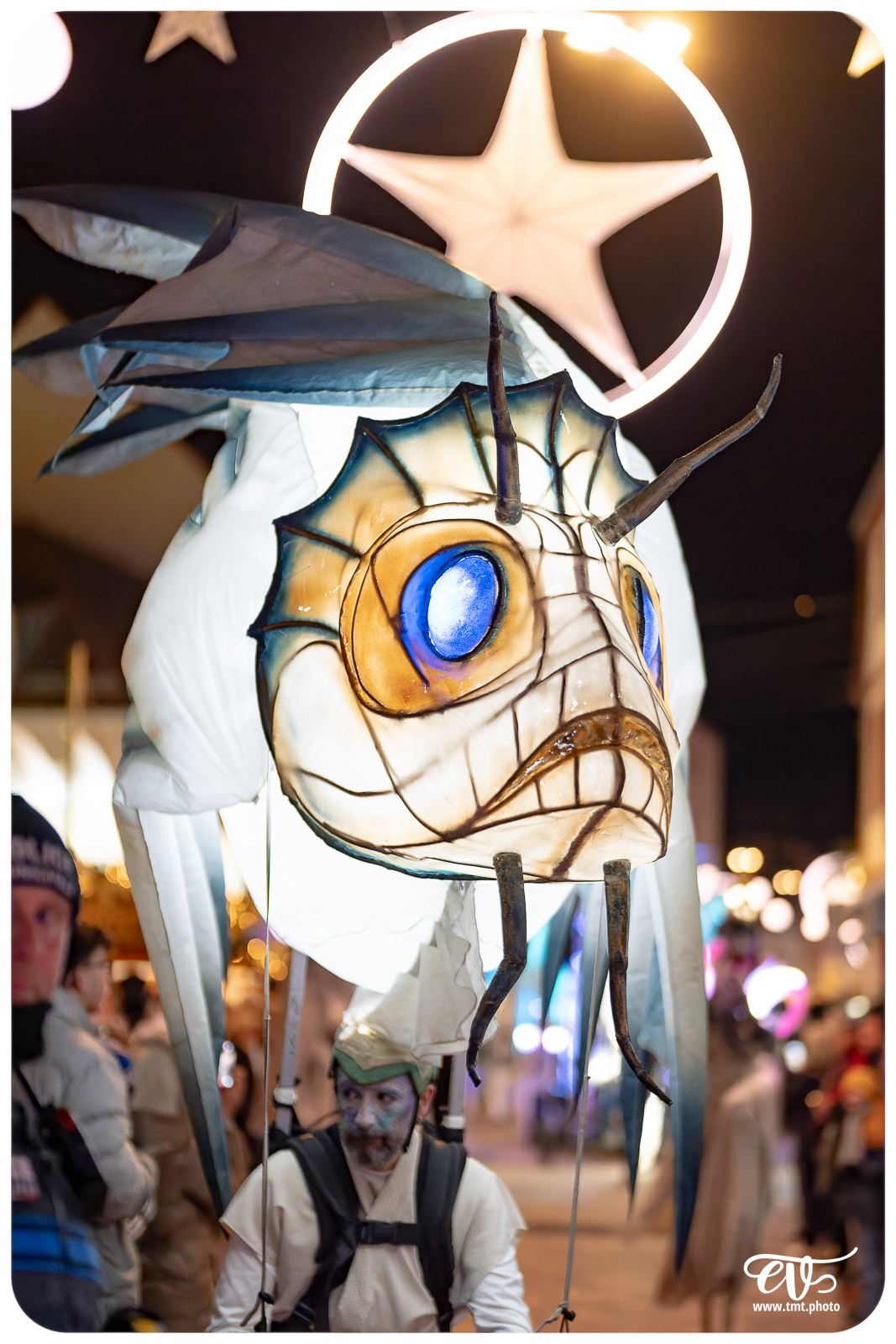 TMTPHOTO CLOTURE NOEL 039